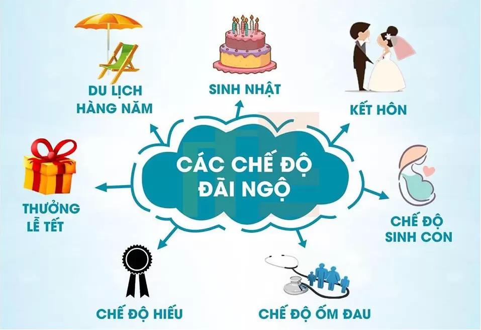 Chính sách đãi ngộ đối với nhân sự
